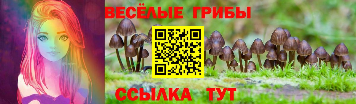 Вязники  Галлюциногенные грибы GOLDEN TEACHER  Галлюциногенные грибы GOLDEN TEACHER  Вход с VPN 